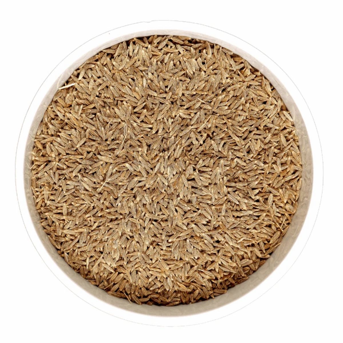Cumin Seeds (Jeera) - WHY Nutrition