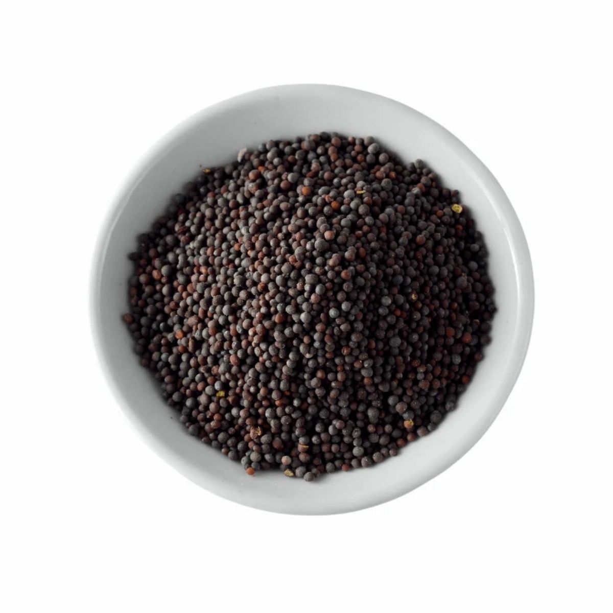 Mustard Seeds (Sarson) - WHY Nutrition