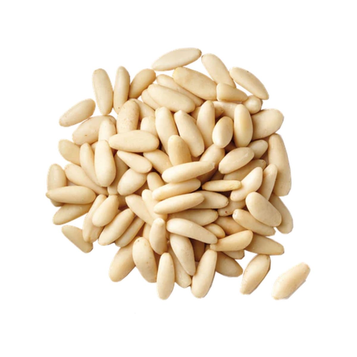Pine Nuts (Chilgoza), Peeled - WHY Nutrition