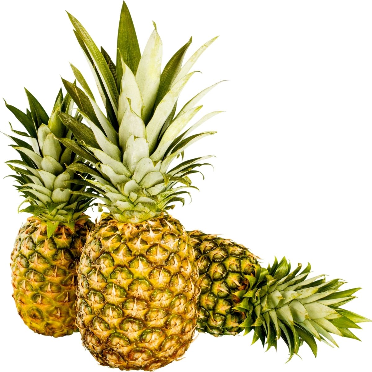 Pineapple Whole - WHY Nutrition