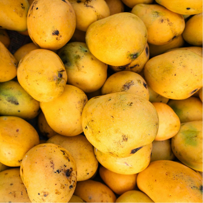 Mango - Safeda, 1 kg