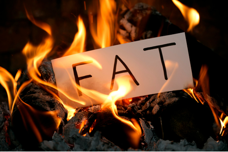 Fats-Busting-the-Myths Planit Club