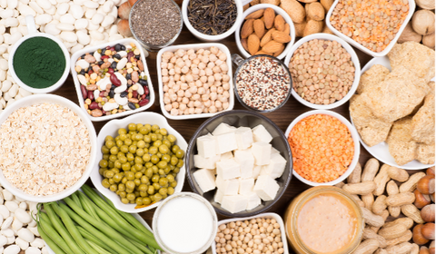 Protein-Sources-for-Vegetarians Planit Club