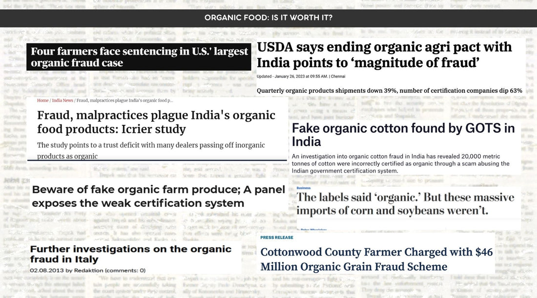 Organic-Food-Is-it-worth-it Planit Club