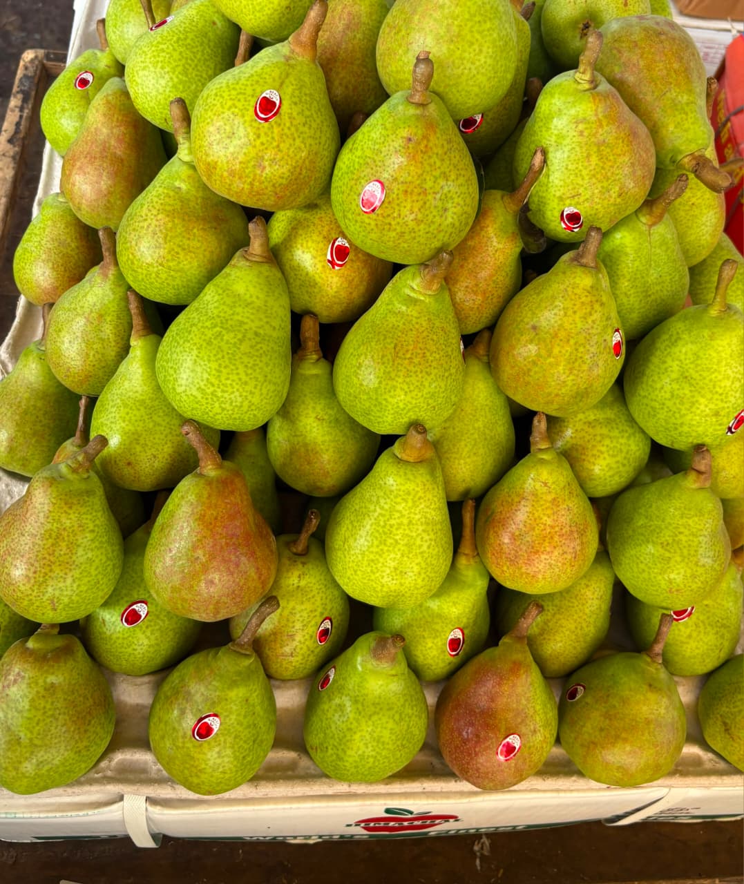 Pear - Kashmiri Babugosha, 500-600 grams