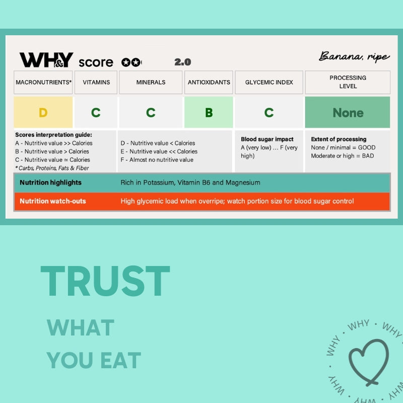 Banana Robusta, 4 Pc Planit Club