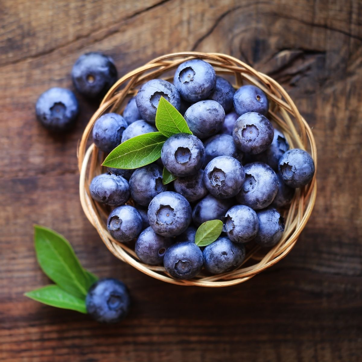 Blueberries, 125g - WHY Nutrition