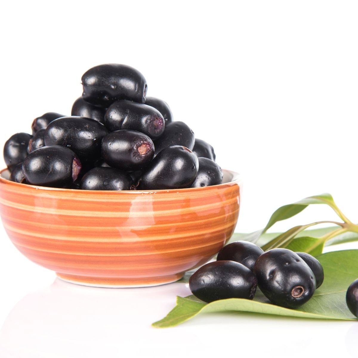 Jamun - WHY Nutrition