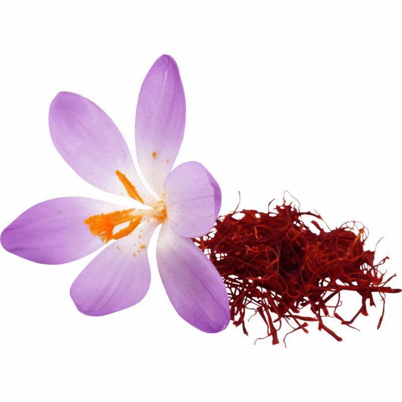 Kashmir Saffron, 1g - WHY Nutrition