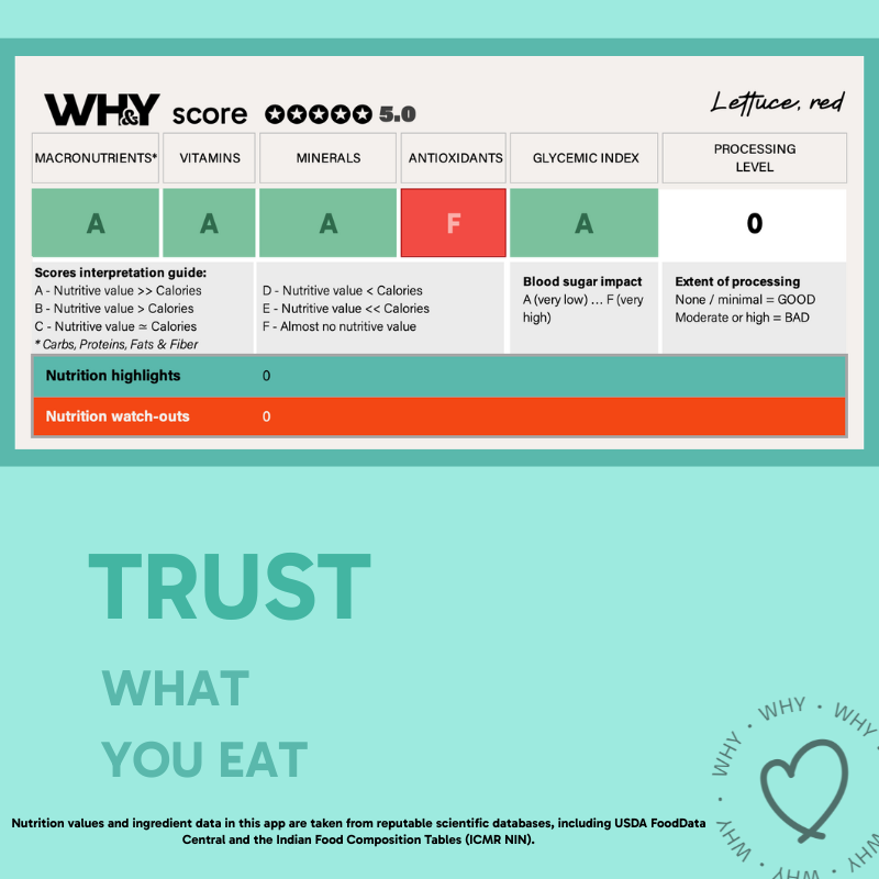 Lettuce, Red Leaf, Bunch (200 grams approx.) - Hydroponic, Residue free