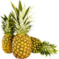 Pineapple Whole - WHY Nutrition