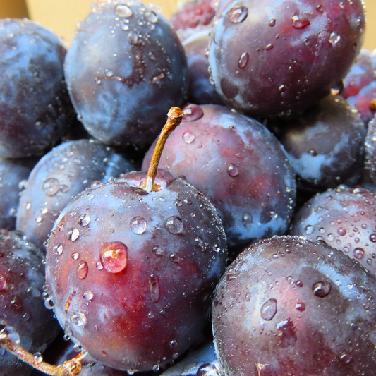 Plum - India, 500g Planit Club