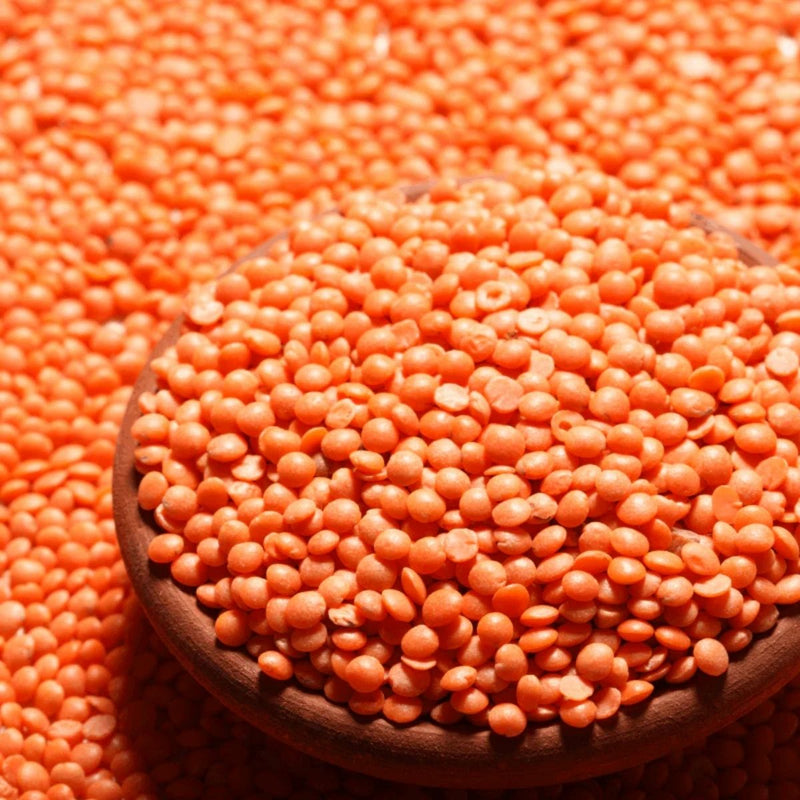 Red Masoor Dal, 500g (Unpolished) - WHY Nutrition