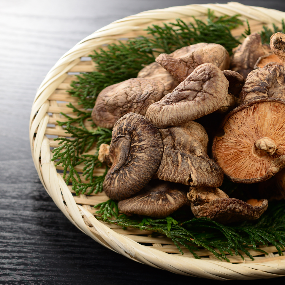 Shiitake Mushrooms, dried, 100 grams - WHY Nutrition