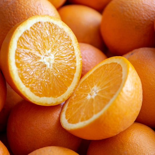Orange - Malta / Valencia - WHY Nutrition