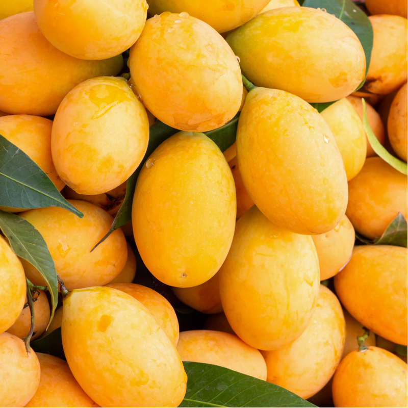 Mango - Alphonso, 1 doz (Carbide Free, Naturally Ripened)