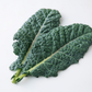 Kale, flat, 100g