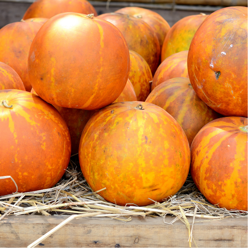 Muskmelon, 1 pc (800-900g)
